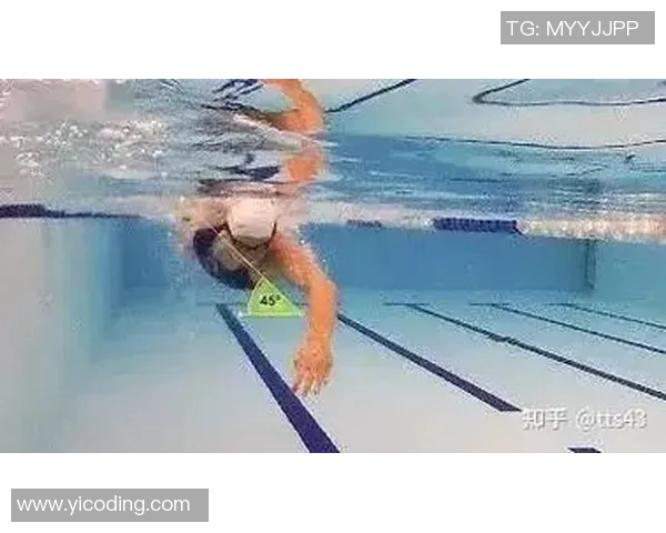 提高自由泳技巧与效率的关键：从基础动作到高级姿势优化全攻略